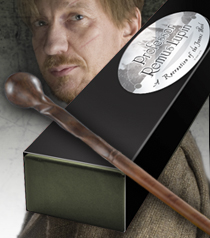 foto Professor Lupin Wand